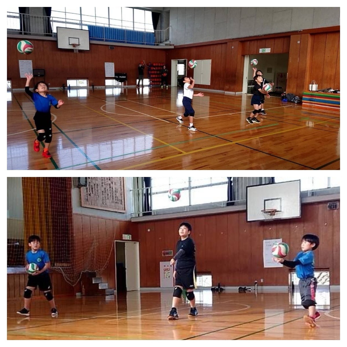 T Five Cup Ask Boys アスクボーイズ 心をひとつに 横浜市男子小学生バレーボールチーム