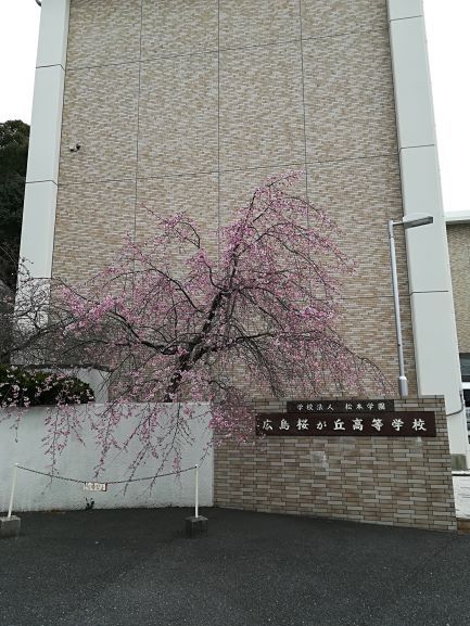 桜が丘高校