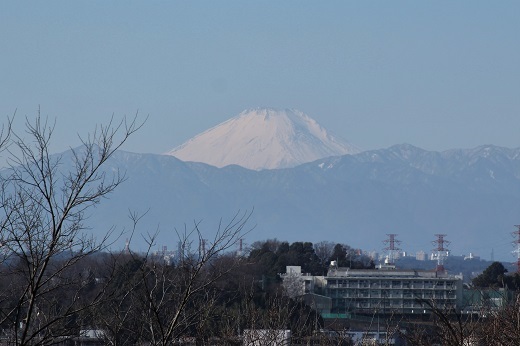 大倉山公園からの富士山