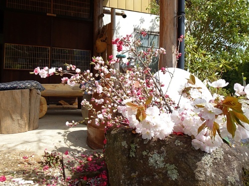 花桃の里　うり坊cafe
