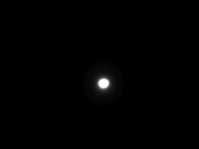 月見1（2020年10月29日）