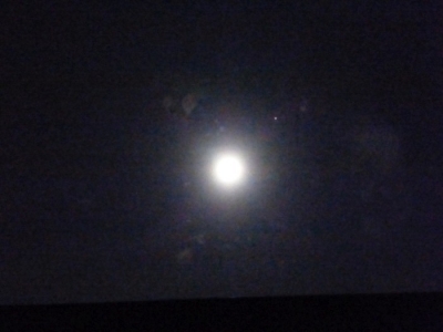 月見2（2020年10月29日）
