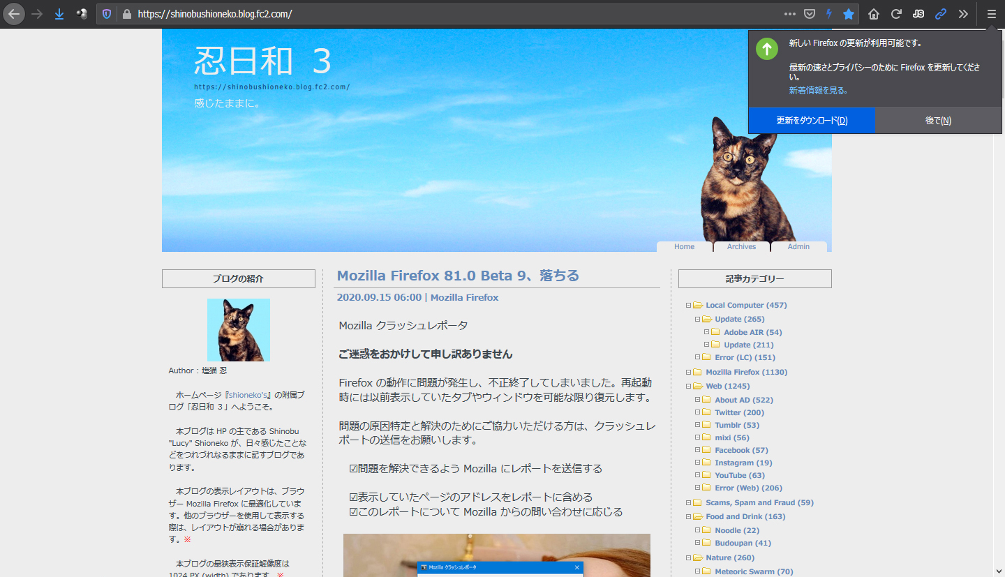 Mozilla Firefox 81.0 RC 1