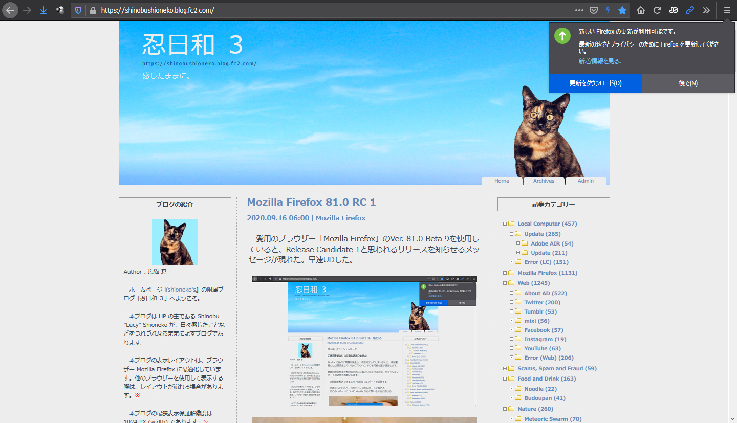 Mozilla Firefox 81.0 RC 2