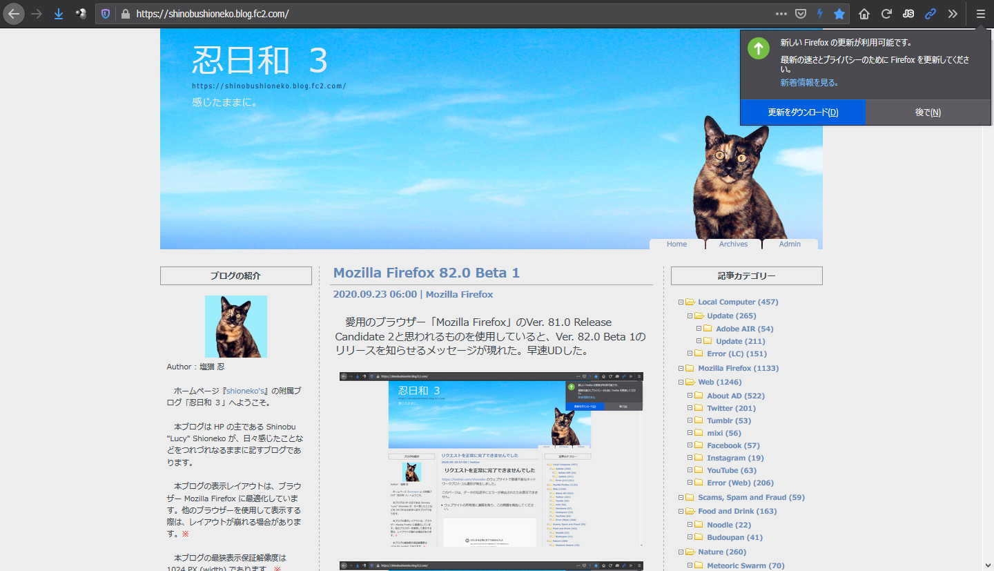 Mozilla Firefox 82.0 Beta 2