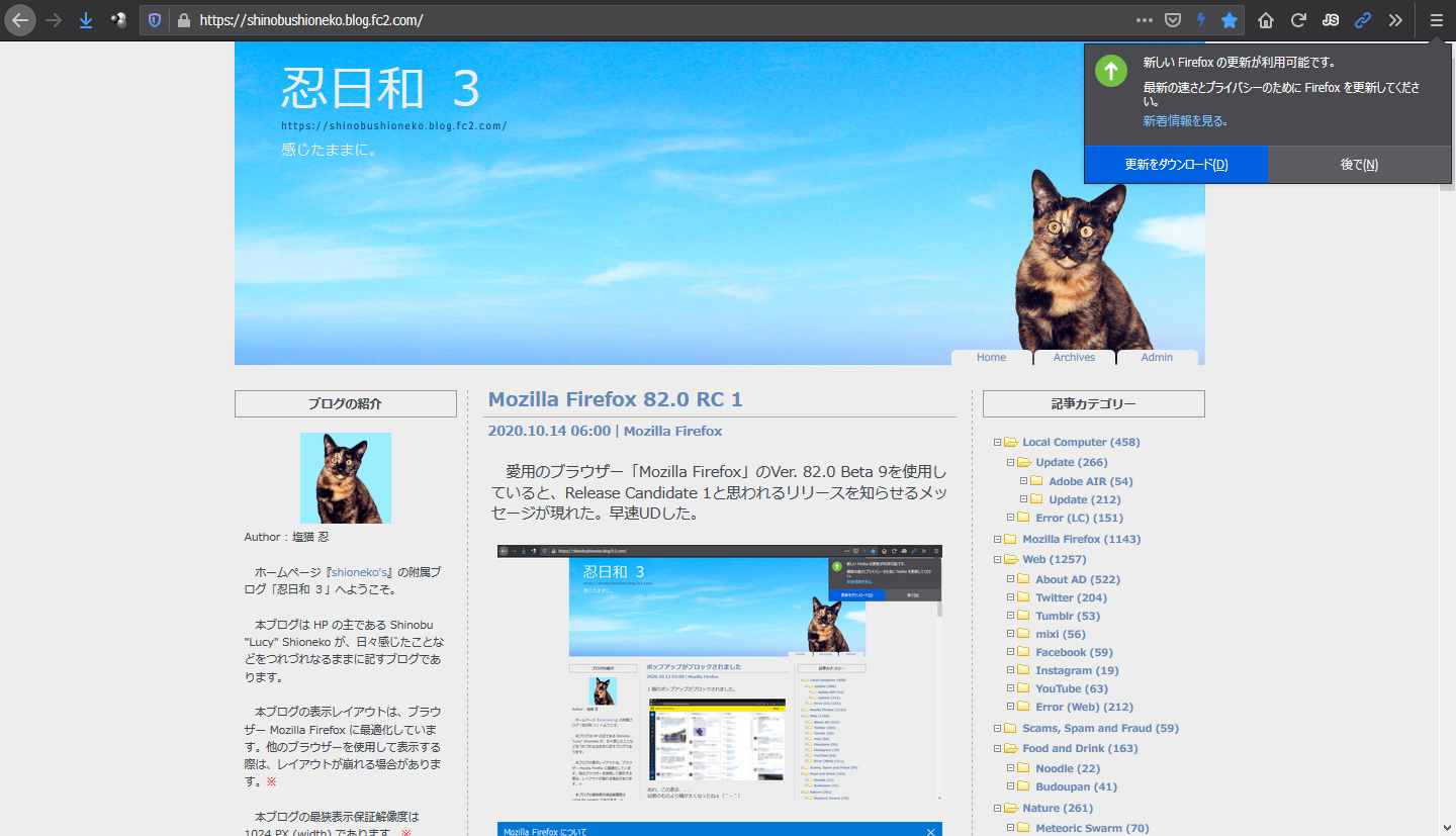 Mozilla Firefox 82.0 RC 2