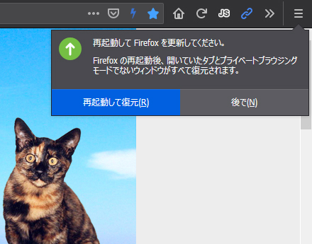 Mozilla Firefox 84.0 RC 1
