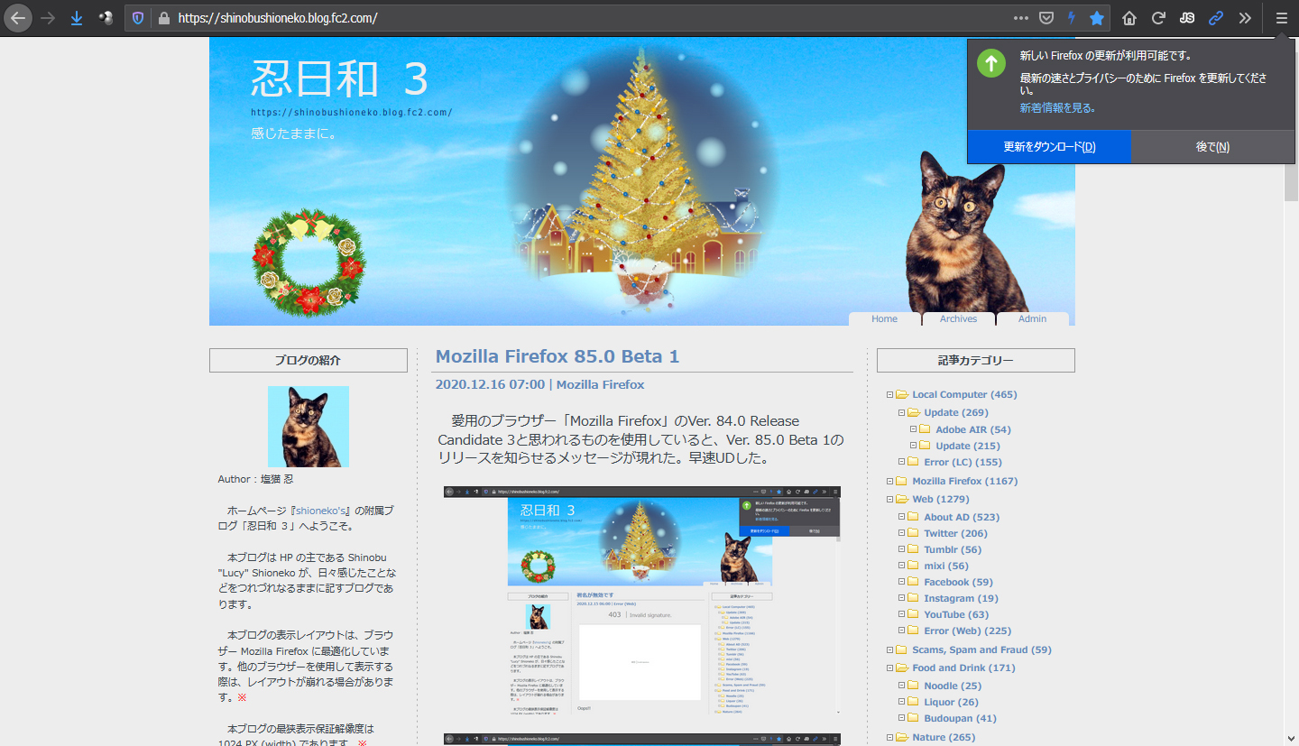Mozilla Firefox 85.0 Beta 2