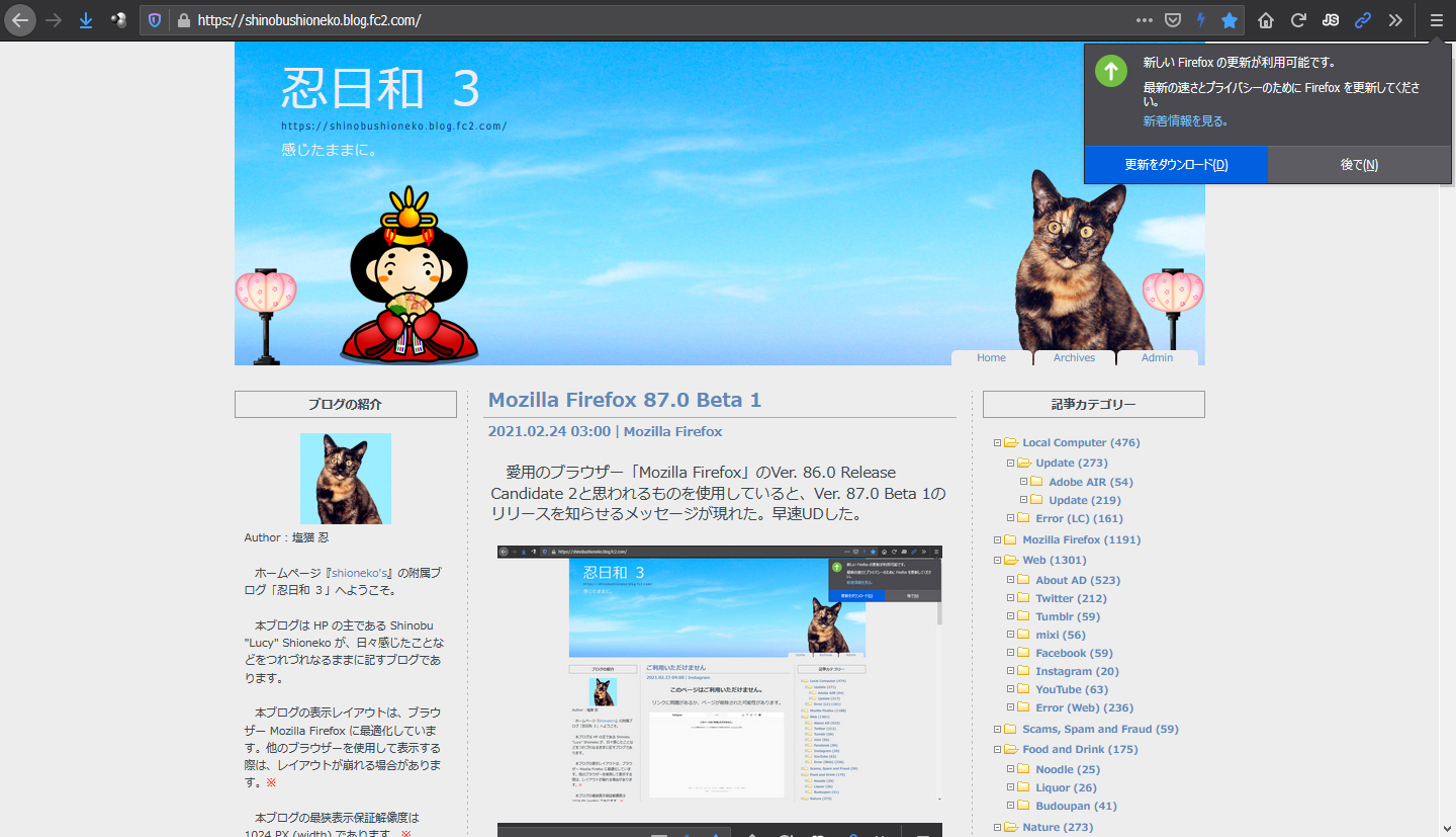 Mozilla Firefox 87.0 Beta 2