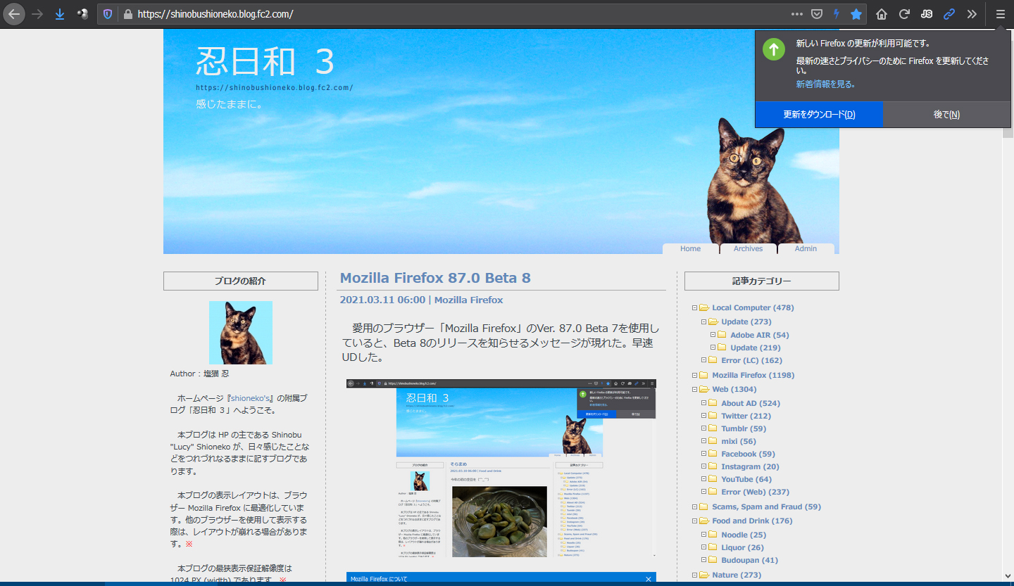 Mozilla Firefox 87.0 Beta 9