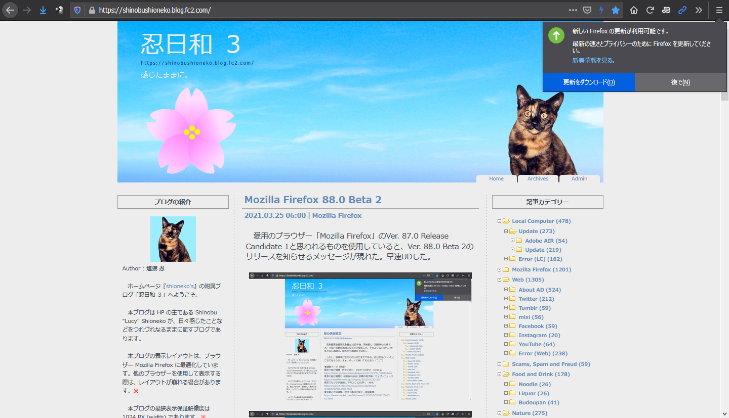 Mozilla Firefox 88.0 Beta 3