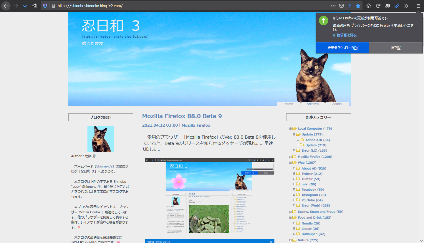 Mozilla Firefox 88.0 RC 1