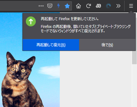 Mozilla Firefox 76.0 Beta 8