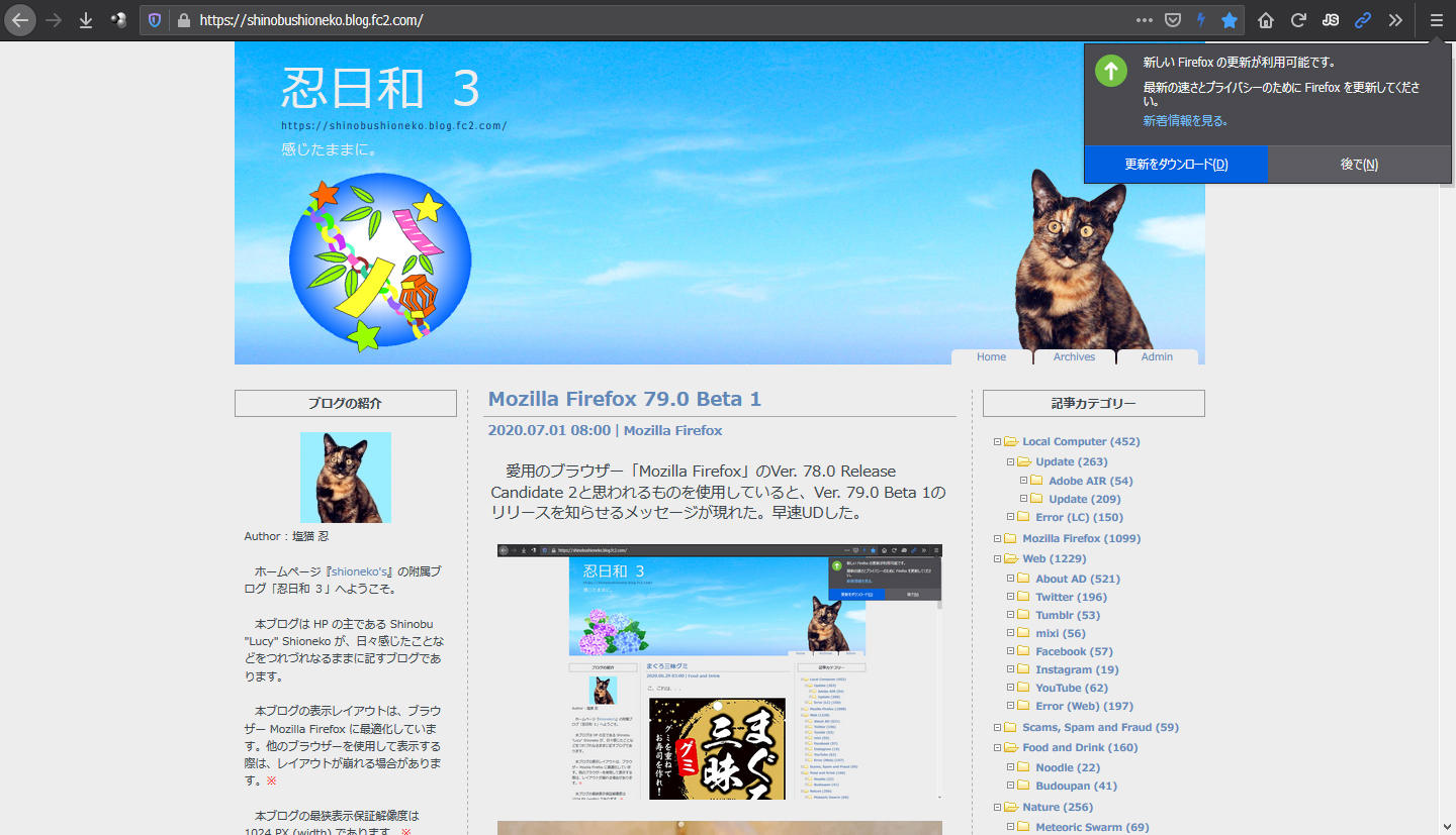 Mozilla Firefox 79.0 Beta 2