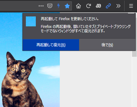 Mozilla Firefox 79.0 Beta 4