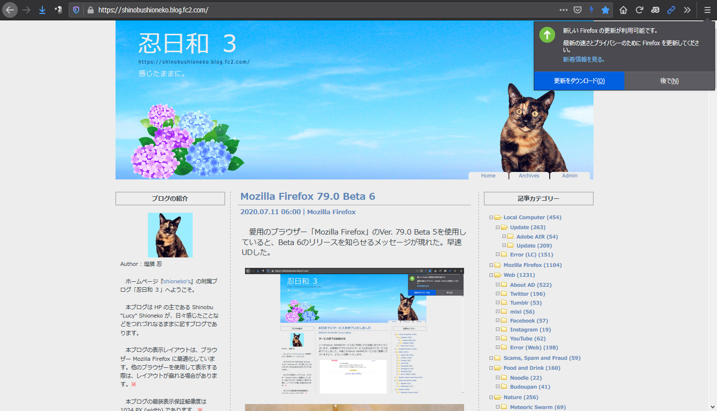 Mozilla Firefox 79.0 Beta 7