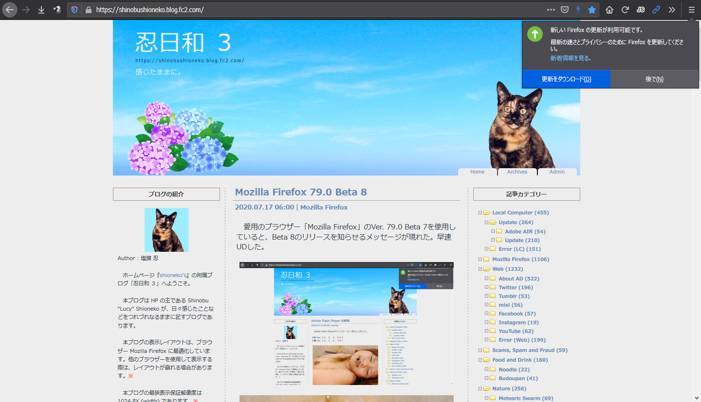 Mozilla Firefox 79.0 Beta 9