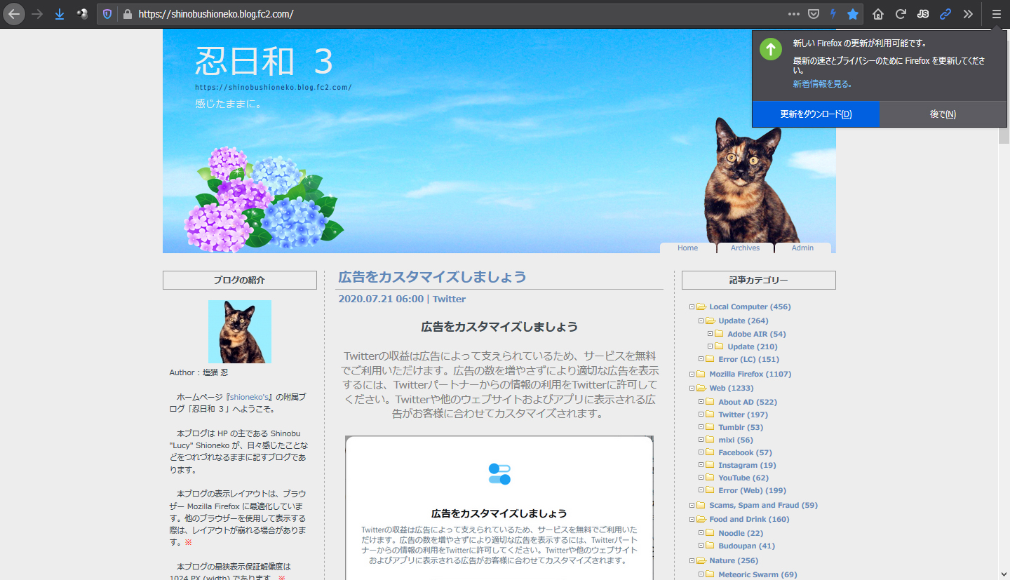 Mozilla Firefox 79.0 RC 1