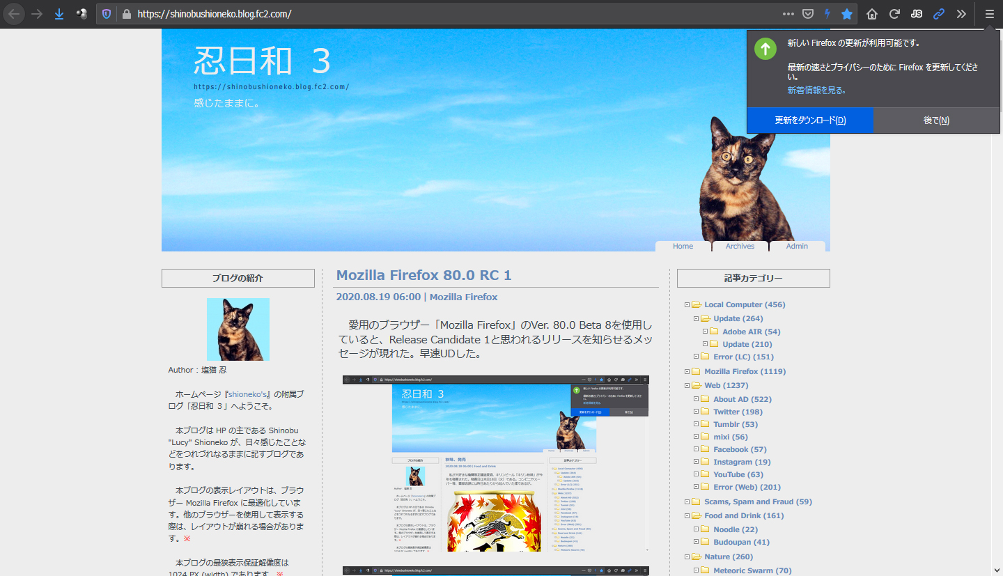 Mozilla Firefox 80.0 RC 2